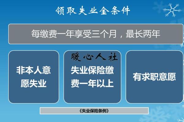 详细解析失业金领取流程与注意事项